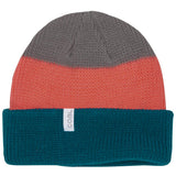 Coal The Frena Beanie