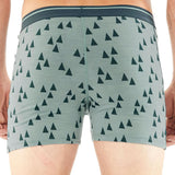 Icebreaker Men's Anatomica Boxers