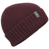 Icebreaker Vela Cuff Beanie