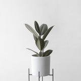 Modern planter